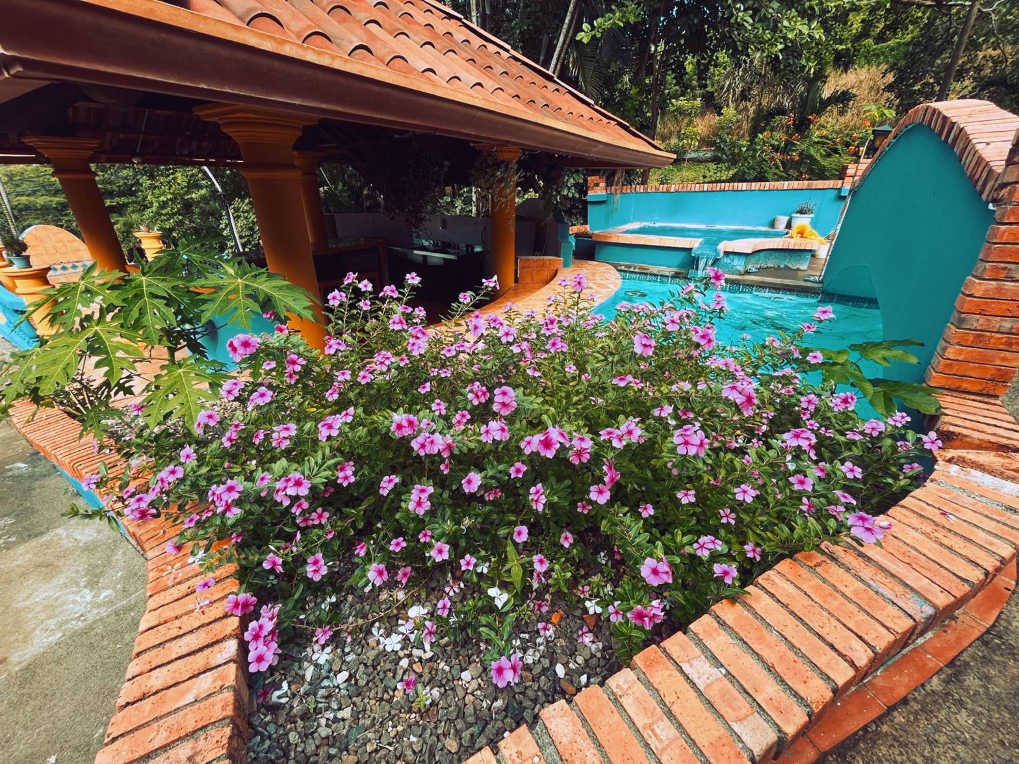 Siwo Art Guesthouse Playa Ocotal Extérieur photo